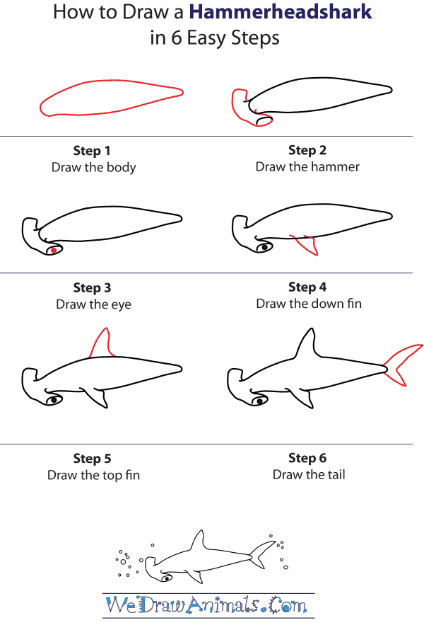 600x890 how to draw a hammerhead shark - Hammerhead Drawing