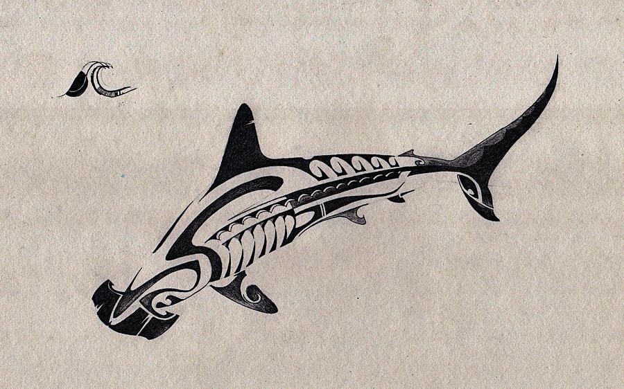 900x562 the hammerhead shark drawing - Hammerhead Drawing