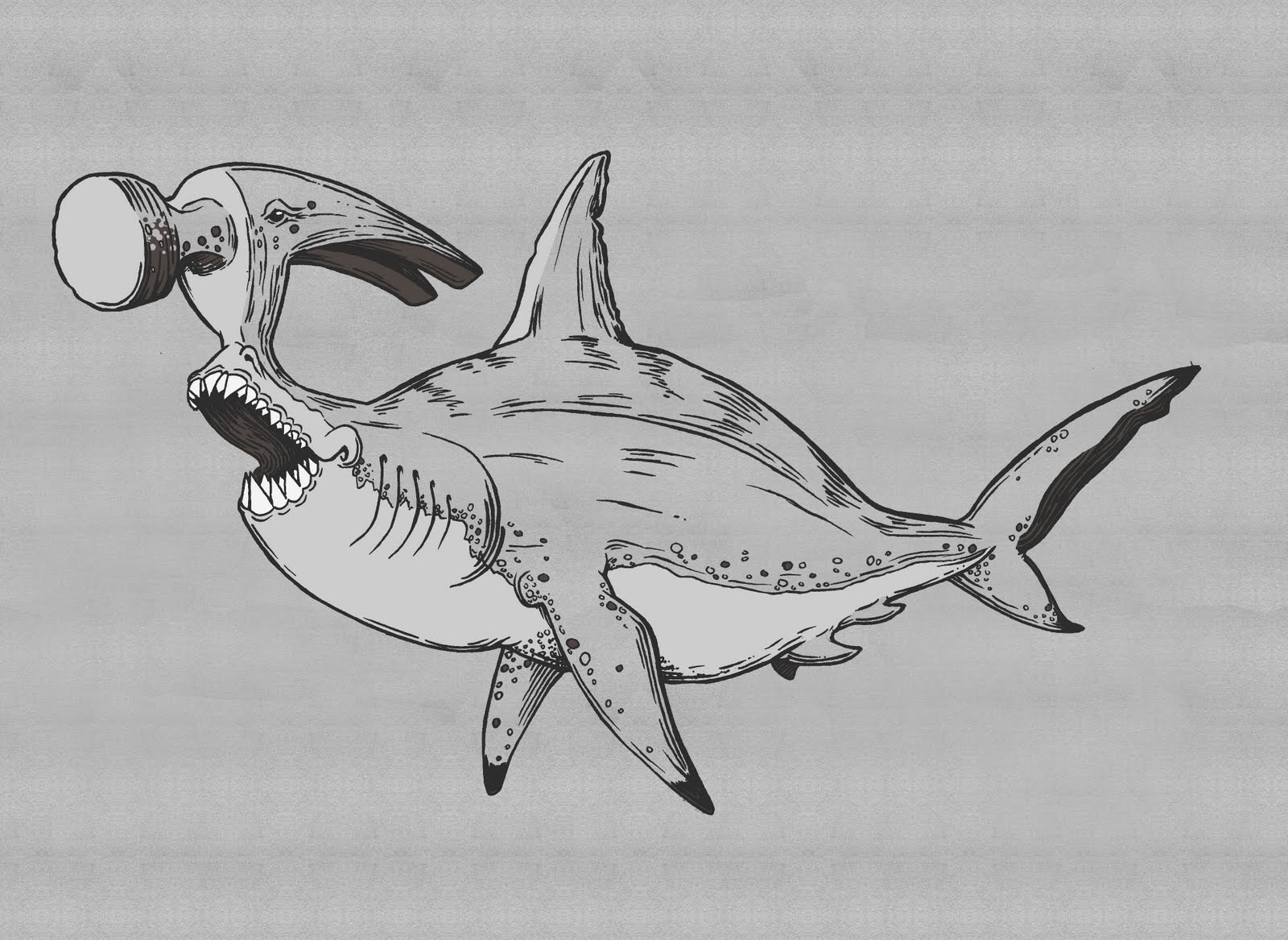 1600x1167 hammerhead shark drawing art drawing skill - Hammerhead Drawing