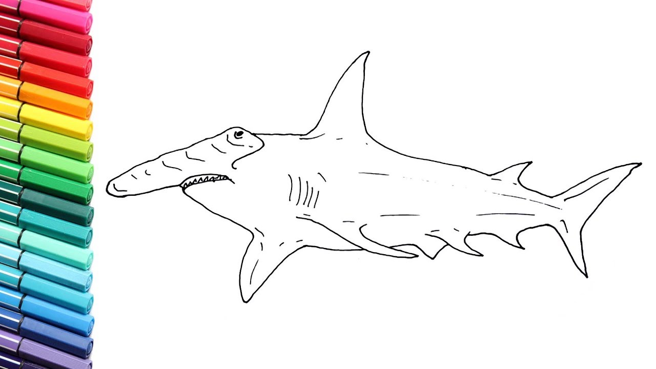 1280x720 how to draw hammerhead shark - Hammerhead Shark Drawing