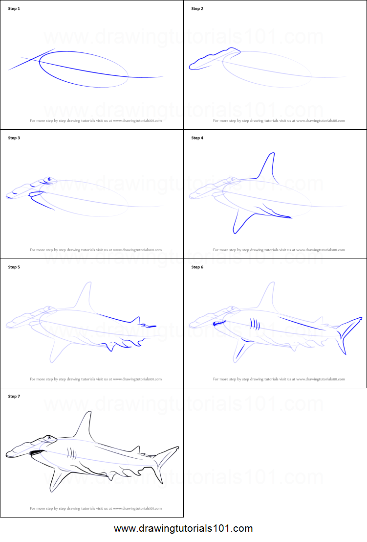 751x1107 how to draw a hammerhead shark printable step - Hammerhead Shark Drawing
