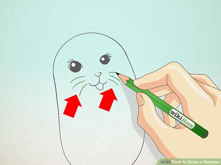 728x546 How To Draw A Hamster Steps - Hamster Cartoon Drawing