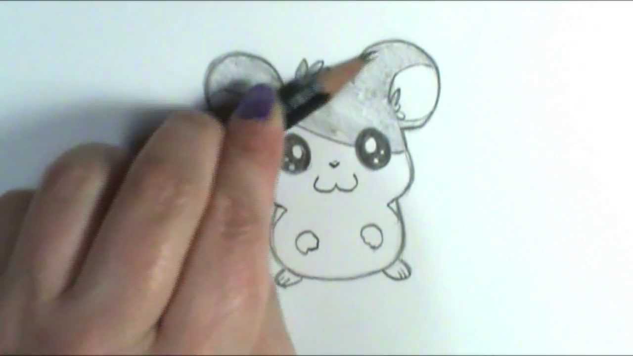 1280x720 How To Draw Hamtaro - Hamster Cartoon Drawing
