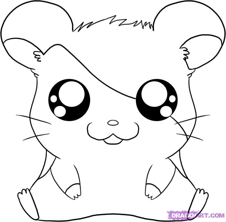 762x748 How To Draw Cartoons How To Draw Hamtaro From The Adventures - Hamster Cartoon Drawing