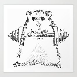 264x264 Hamster Drawing Art Prints - Hamster Drawing
