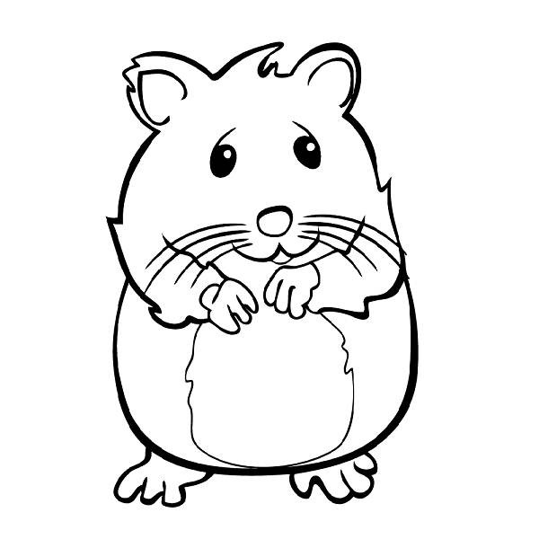 600x600 Hamster Drawing Free Download - Hamster Drawing