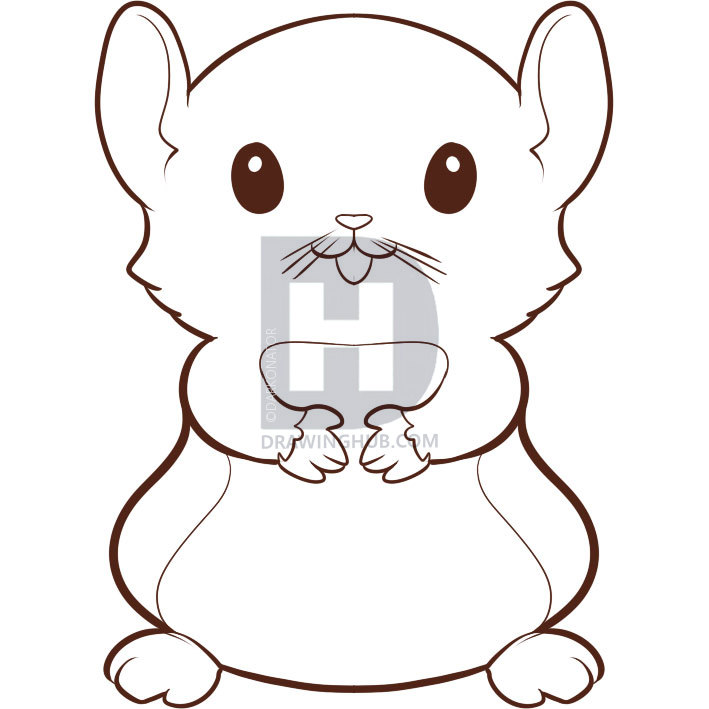 709x709 How To Draw A Hamster, Step - Hamster Drawing