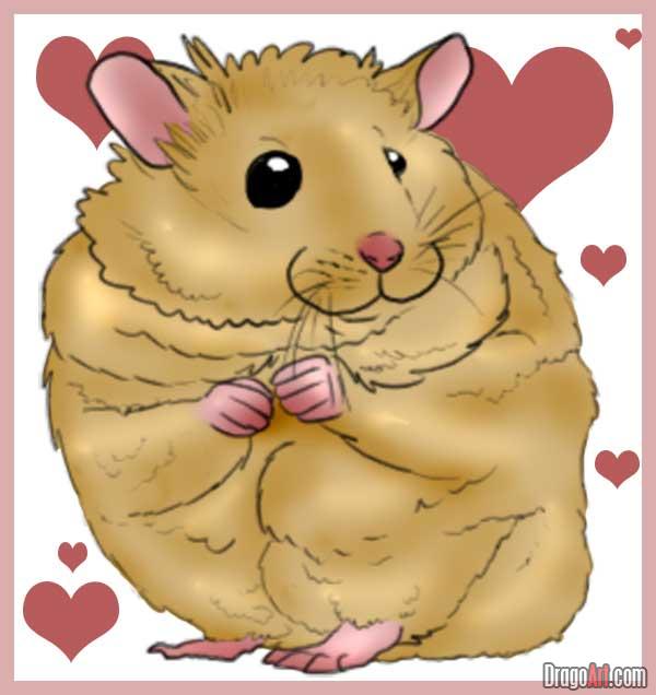 600x636 How To Draw A Hamster, Step - Hamster Drawing