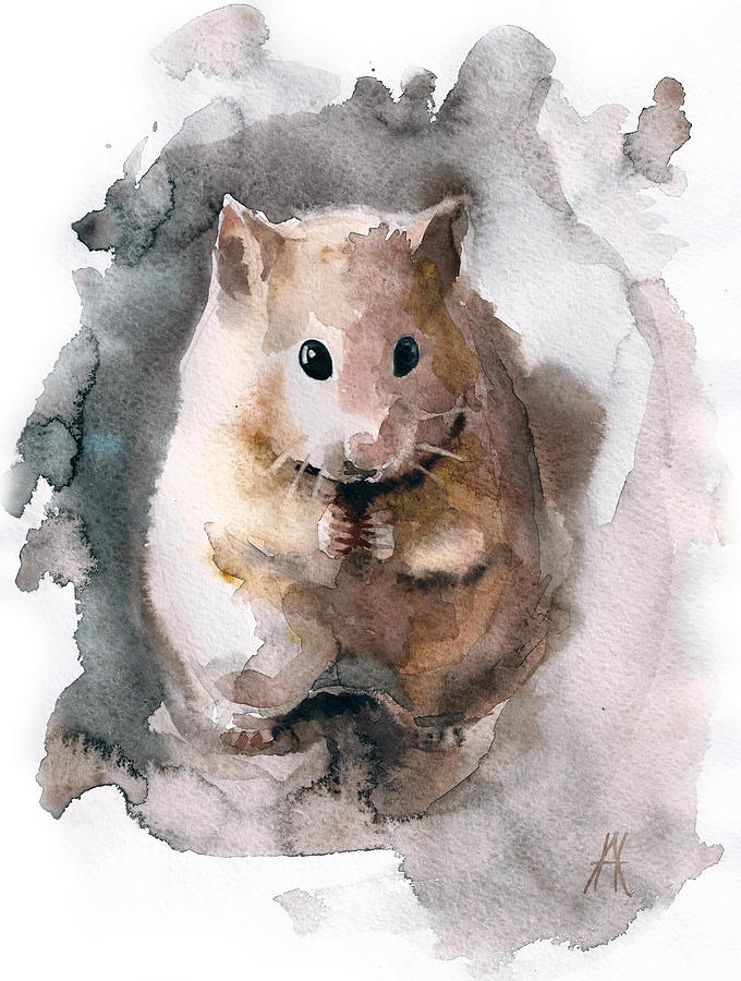 680x900 Syrian Hamster Drawing - Hamster Drawing