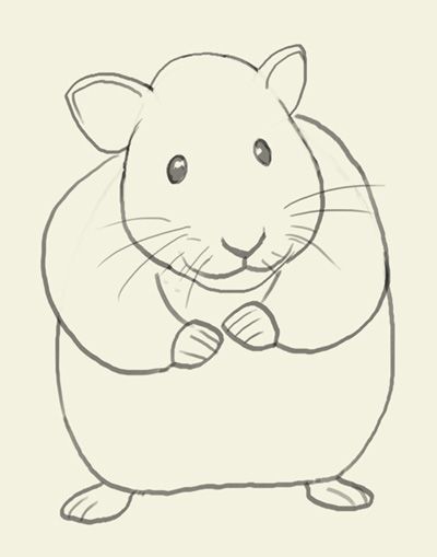 400x509 hamster how to draw hamster drawings drawings, basic drawing - Hamster Drawing