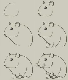 236x277 Draw Hamster Easy - Hamster Drawing
