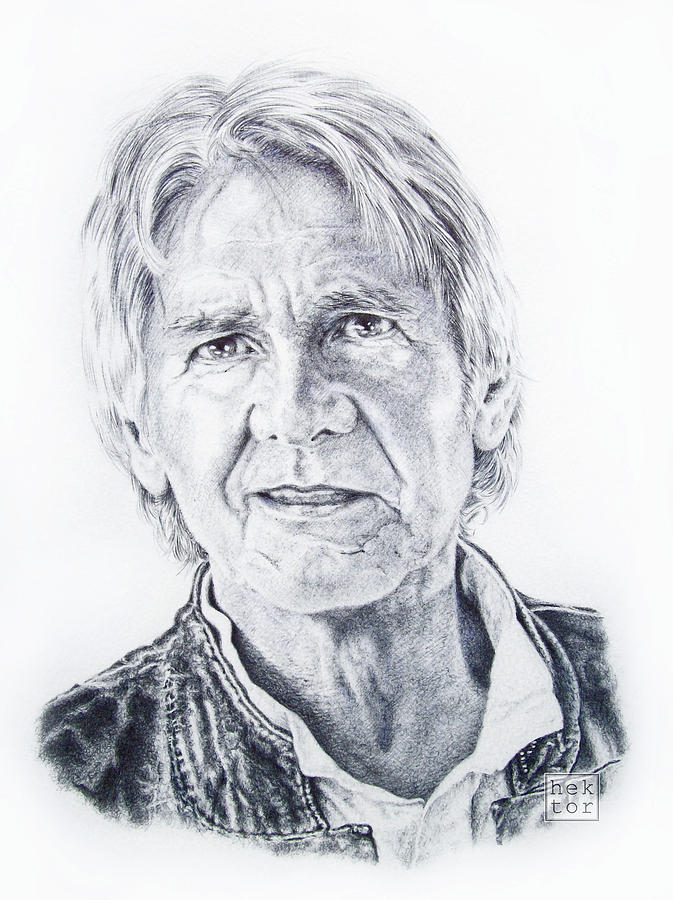 673x900 portrait harrison ford as han solo drawing - Han Solo Drawing