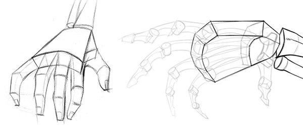 600x266 How To Draw Hand Bones - Hand Anatomy Drawing