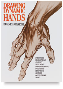 213x300 How To Draw Hands Basic Anatomy For The Artist - Hand Anatomy Drawing