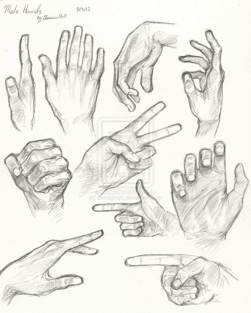 Hand Anatomy Drawing at Explore collection of Hand