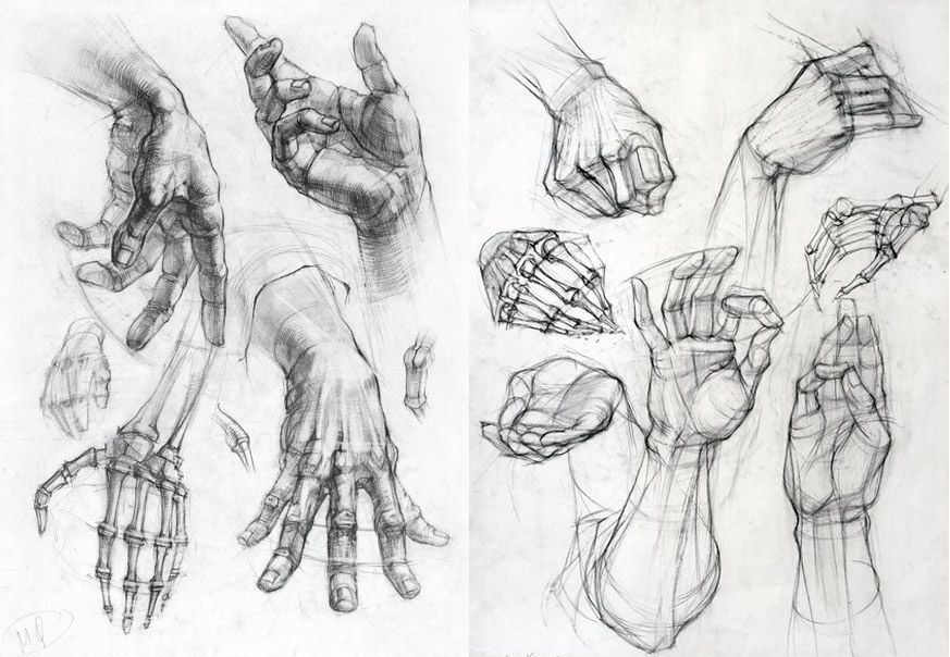 873x604 Anatomy - Hand Anatomy Drawing