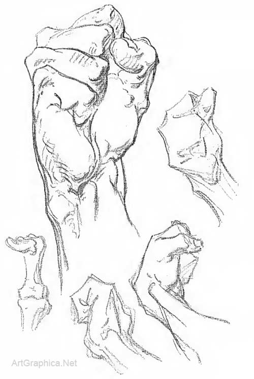 500x744 Anatomy Of The Hand, And How To Draw Hands - Hand Anatomy Drawing