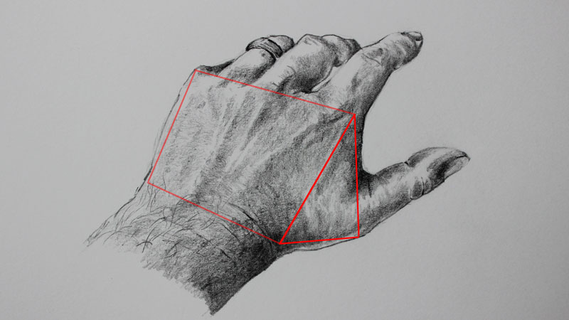 800x450 How To Draw Hands - Hand Art Drawing