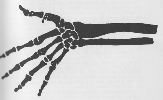 570x352 Hands - Hand Bones Drawing