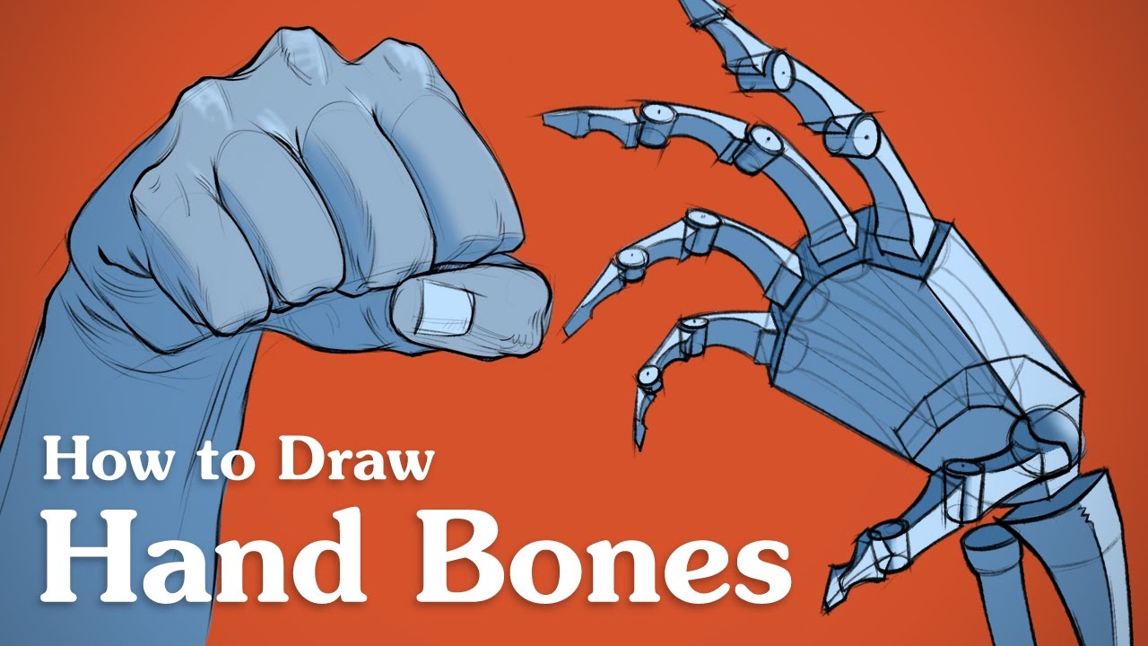 1280x720 How To Draw Hand Bones - Hand Bones Drawing