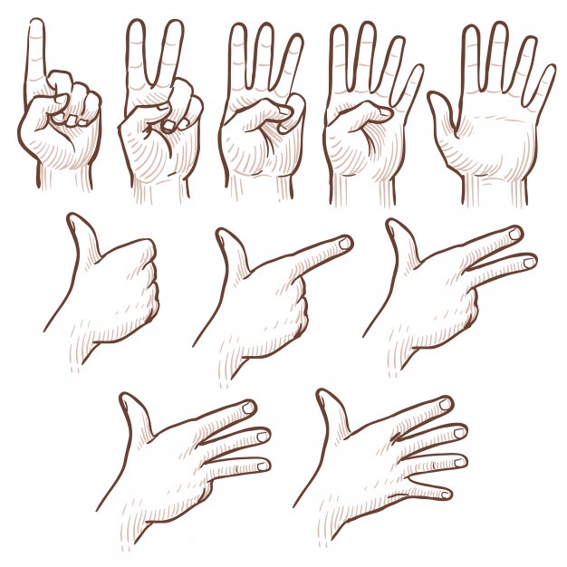 626x626 Hand Drawing Vectors, Photos And Free Download - Hand Drawing
