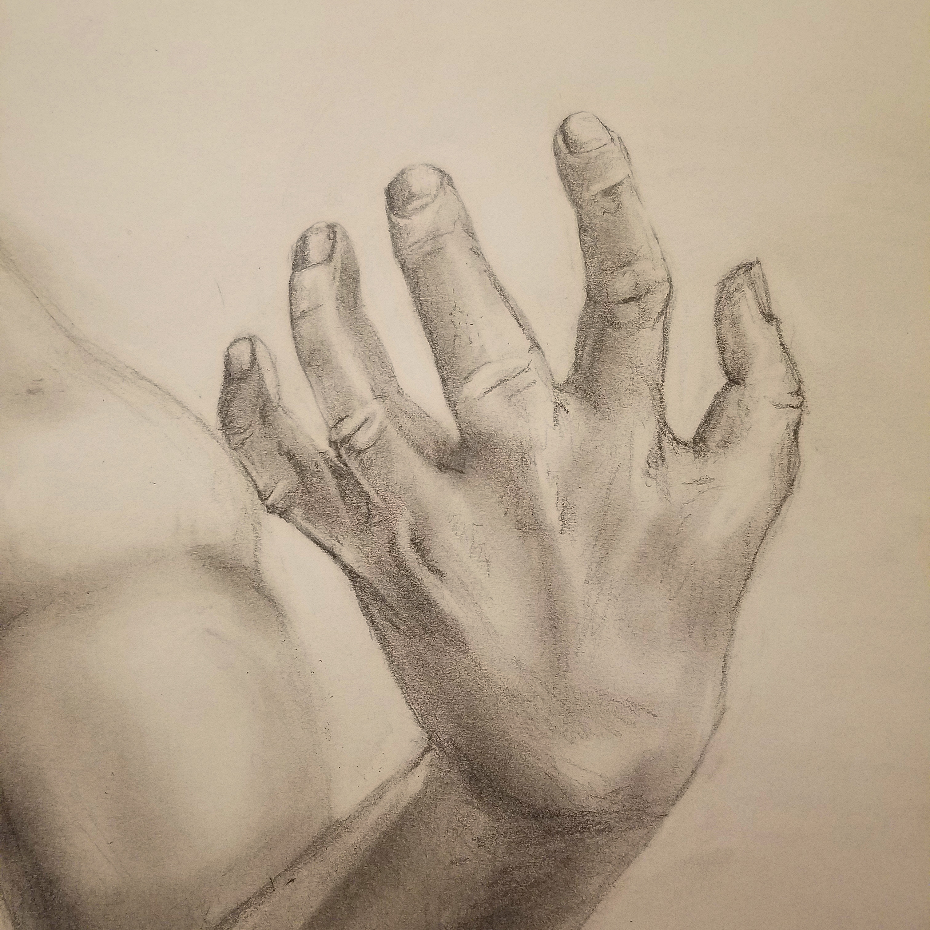 3024x3024 Hand Drawing - Hand Drawing