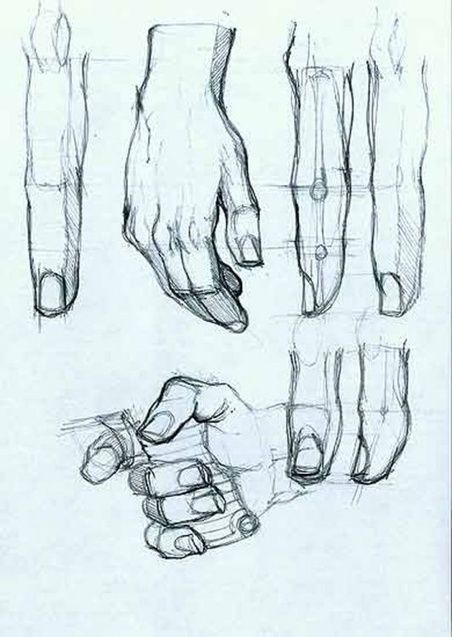 452x637 Hand Drawing Reference Drawing References And Resources Scoop - Hand Drawing