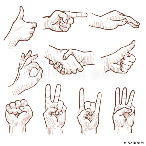500x500 Hand Drawing Sketch Man Hands Showing Different Gestures Vector - Hand Drawing