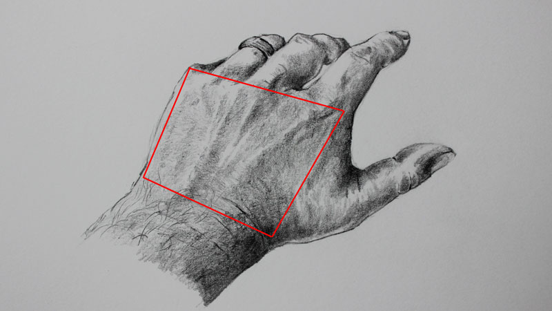 800x450 How To Draw Hands - Hand Drawing