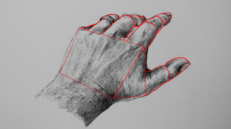 800x450 How To Draw Hands - Hand Drawing A Picture