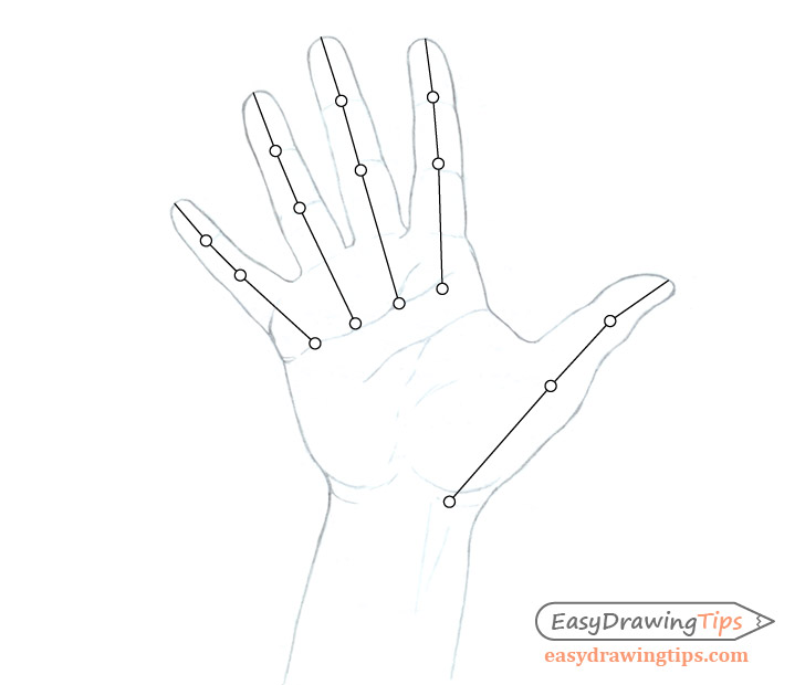 728x620 How To Draw A Hand Step - Hand Drawing A Picture