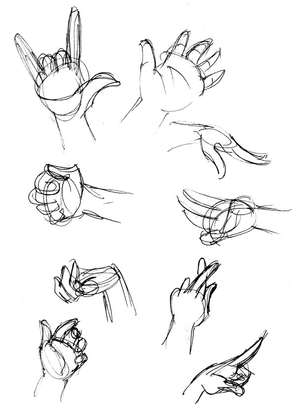 600x853 Human Anatomy Fundamentals How To Draw Hands - Hand Drawing A Picture