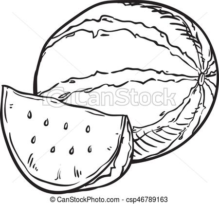 450x419 Hand Drawn Sketch Watermelon Illustration - Hand Drawing Clipart
