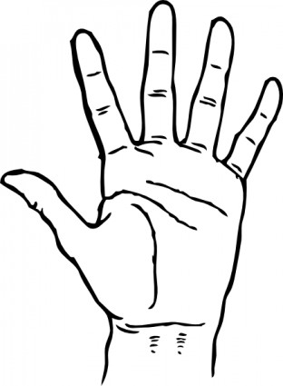312x425 Hand Outline Hand Drawing Outline - Hand Drawing Clipart