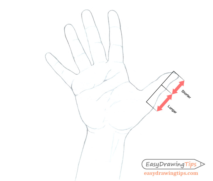 728x620 How To Draw A Hand Step - Hand Drawing Easy