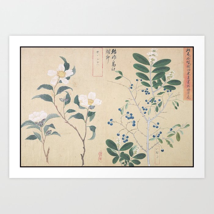 700x700 Japanese Botanical Ink And Brush Painting, Hand Drawing Flowers - Hand Drawing Flowers