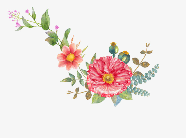 650x484 red bright flower hand drawing, flower clipart, bright, red png - Hand Drawing Flowers