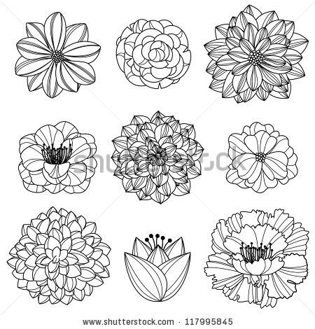 450x470 Vector Collection Of Hand Drawn Flowers - Hand Drawing Flowers