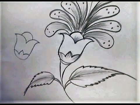 480x360 Freehand Drawing - Hand Drawing Flowers
