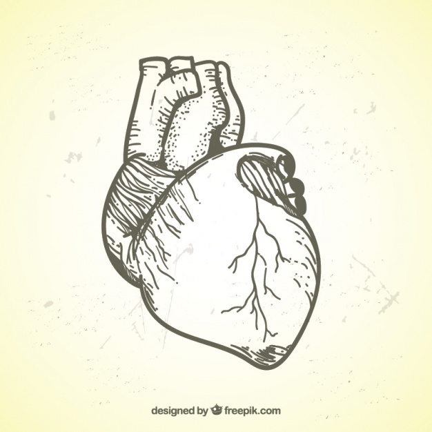 626x626 Realistic Illustration Of Hand Drawn Heart Vector Free Download - Hand Drawing Heart