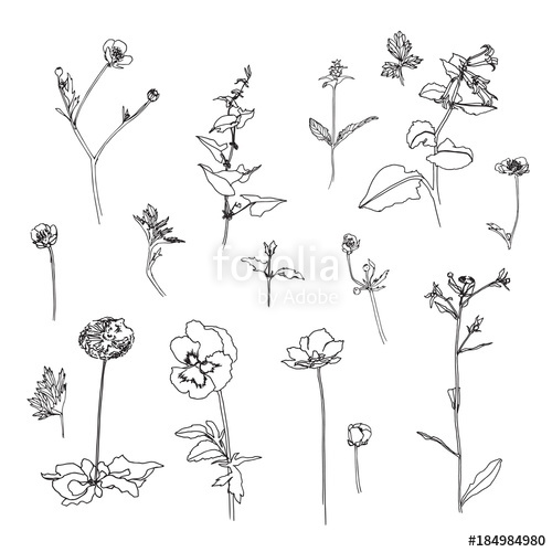 500x500 Set Of Hand Drawn Outline Of Flowers With Leaves Sketch Or Doodle - Hand Drawing Outline