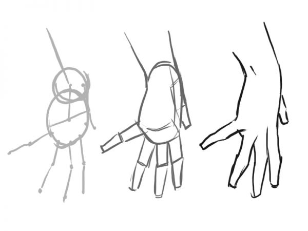 600x450 How To Draw A Proportioned Hand Structure - Hand Drawing Pic