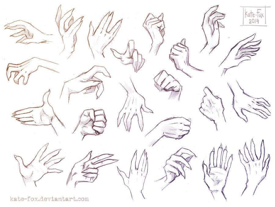 Female Hands Drawing Reference See more ideas about drawing tutorial drawings drawing. female hands drawing reference