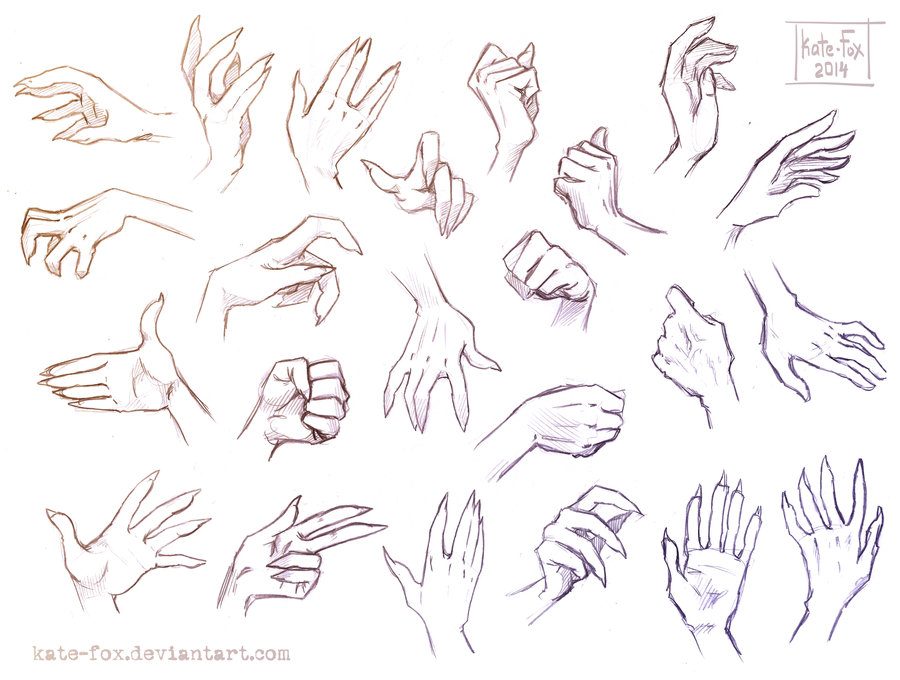 Hand Drawing Reference at PaintingValley.com | Explore collection of ...