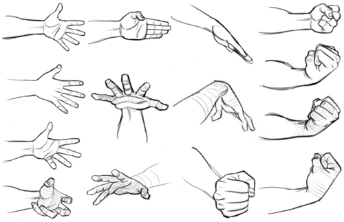 500x323 Hands Reference Discovered - Hand Drawing Reference