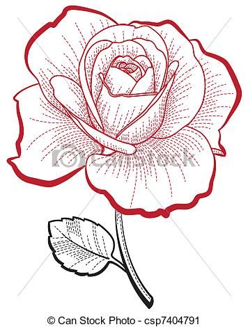 356x470 Hand Drawing Rose - Hand Drawing Rose