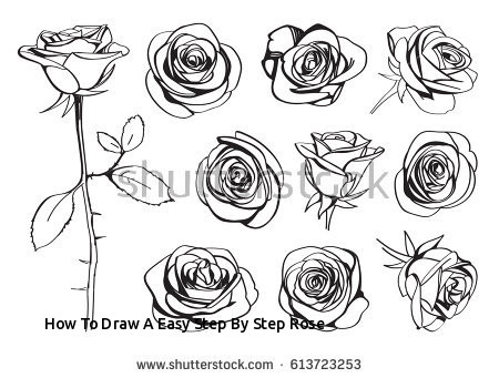 30+ Trends Ideas Step By Step Hand Drawn Step By Step Rose Sketch Easy