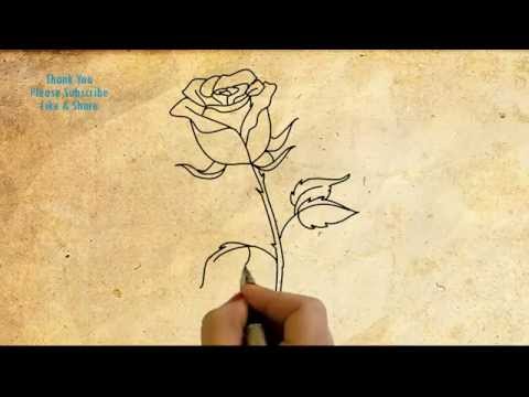 480x360 How To Draw A Rose Simple Drawing With Hand Rose Flower Drawing - Hand Drawing Rose