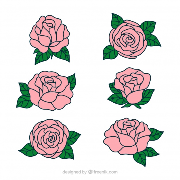 626x626 Pretty Hand Drawn Roses Vector Free Download - Hand Drawing Rose