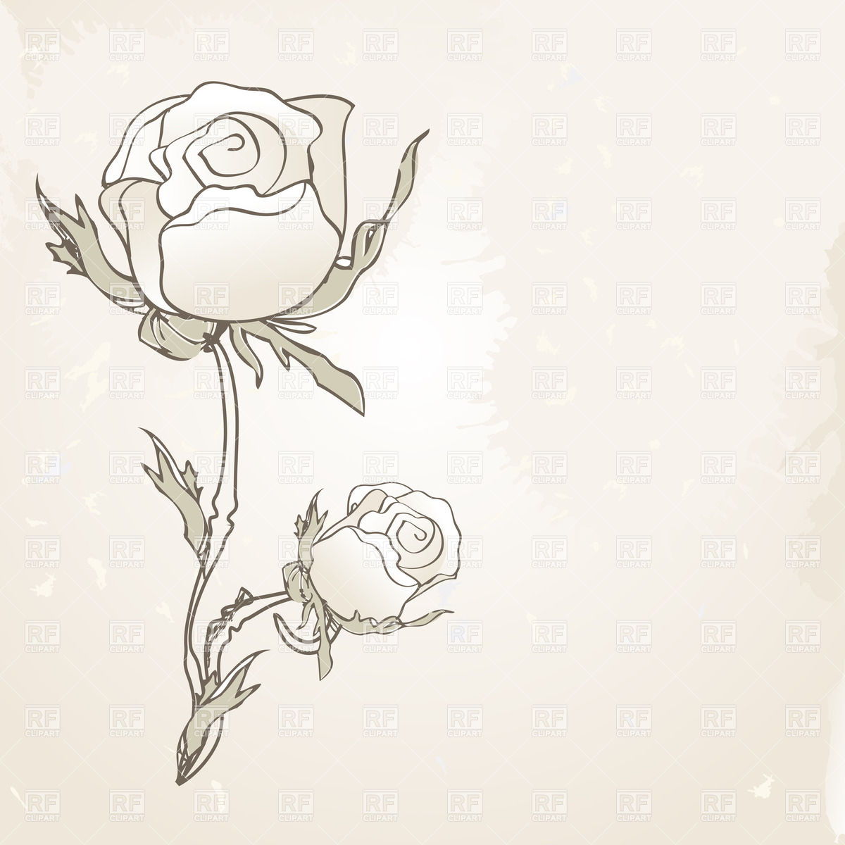 1200x1200 retro card with hand drawn rose on shabby background vector image - Hand Drawing Rose